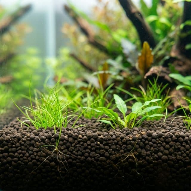 Aquasoil and inert substrate comparison for planted aquariums