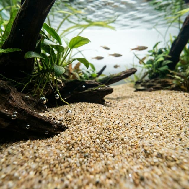 Fine sand