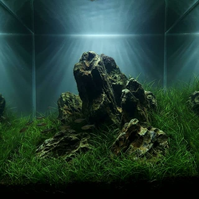 Frodo Stone: The Ancient Landscape