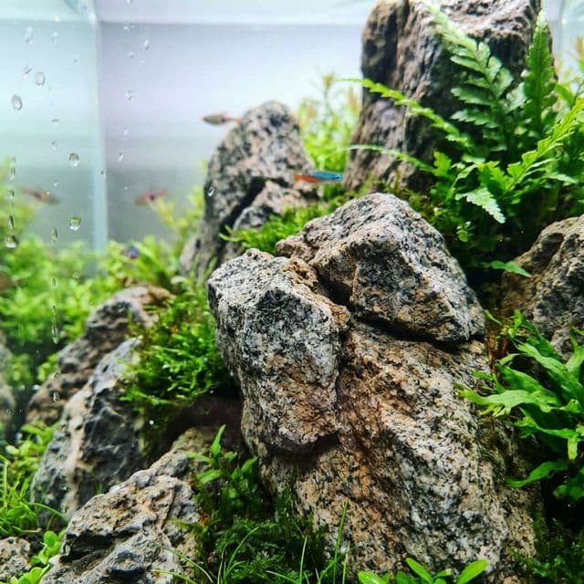 Roches de granit