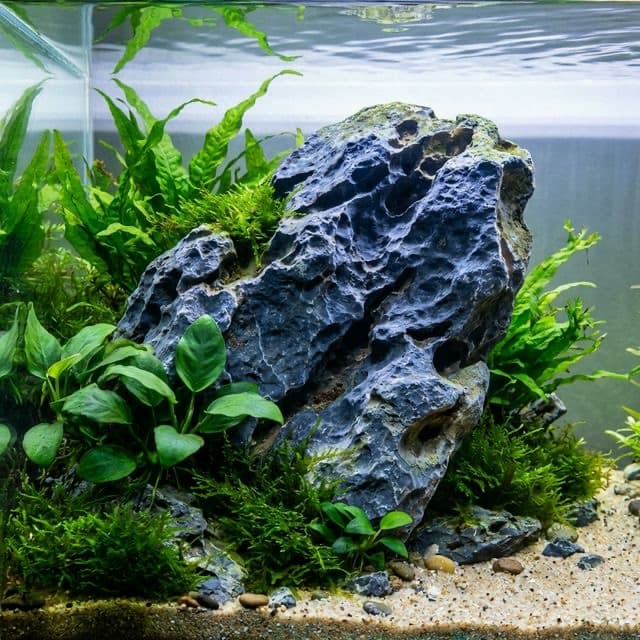 Hakkai Stone: The Rare Gem