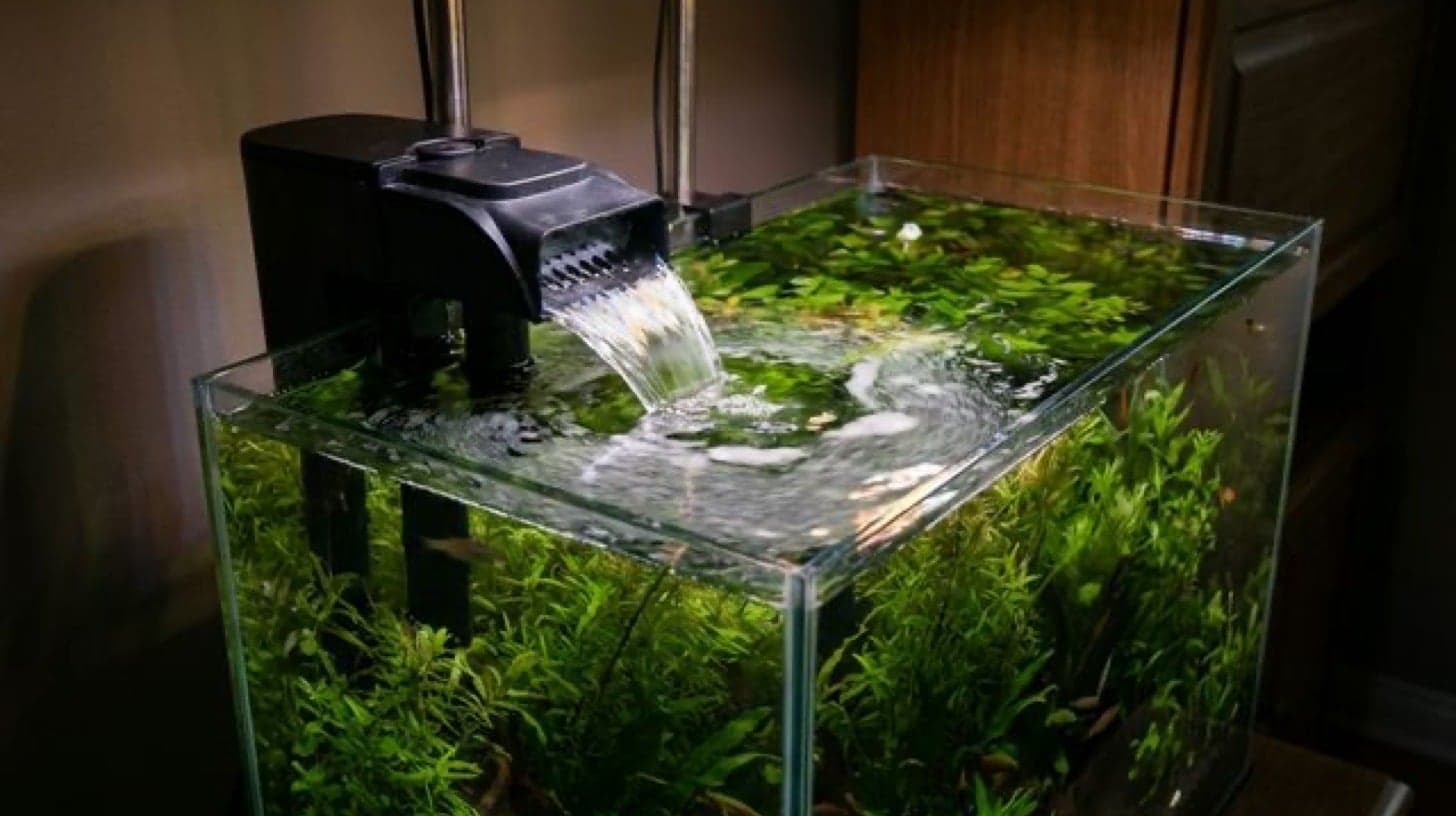 Surface Skimmer