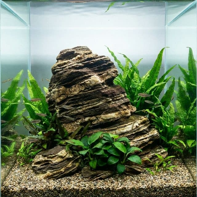 Pagoda Stone: The Layered Canyon