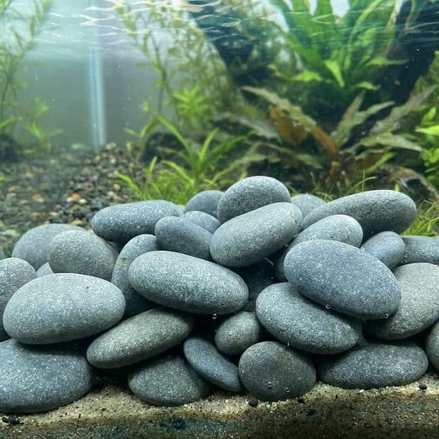 River Stone: The Smooth Rounded Pebble