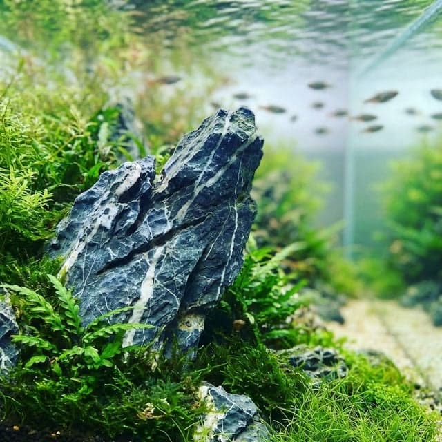 Pierre Seiryu : Le Roi des Roches d'Aquascaping
