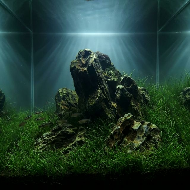 Frodo Stone: The Ancient Landscape