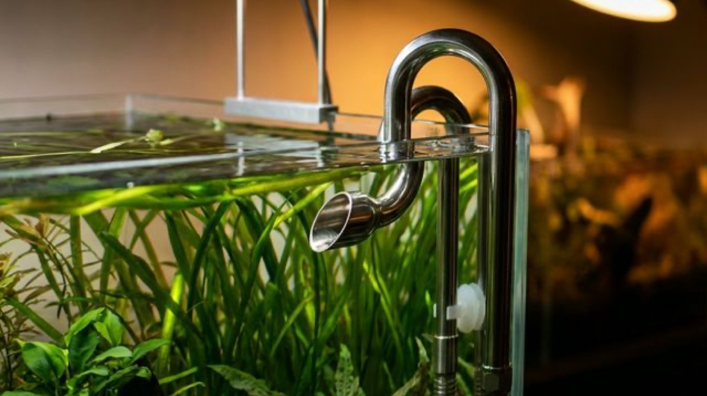 Stainless Steel [Lily Pipes](/knowledge-base/hardware/glass-lily-pipes)