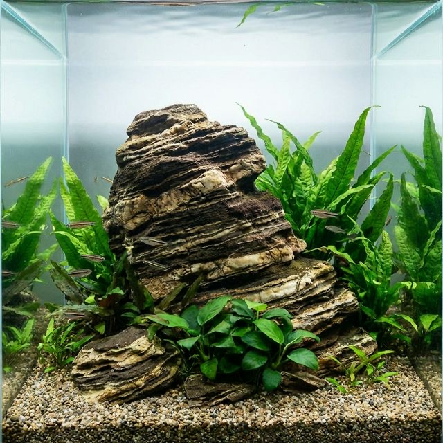 Pagoda Stone: The Layered Canyon